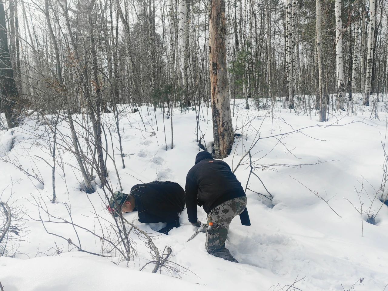 1743033075365587.jpg 微信圖片_20250327075007.jpg